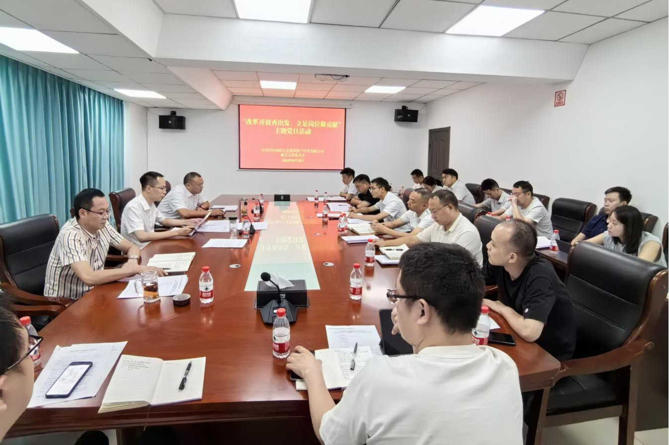 巴中兩山公司開展“改革開放再出發(fā)、立足崗位做貢獻(xiàn)”主題黨日活動
